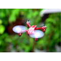 DWI 2.4g Quadrocopter rc aircraft models With mini drone